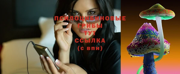 не бодяженный Аркадак