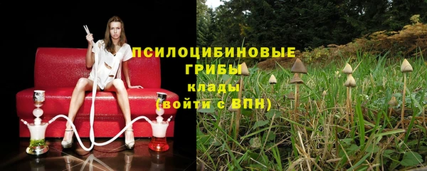 apvp Арсеньев