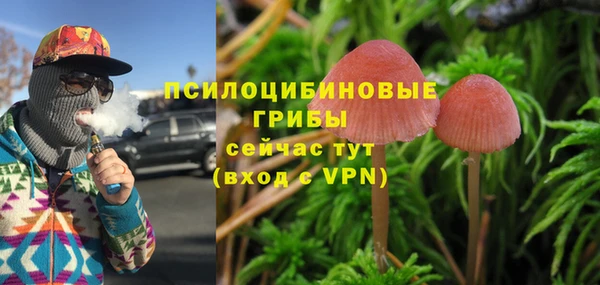 не бодяженный Аркадак