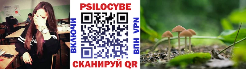 где купить   Баймак  даркнет телеграм  Псилоцибиновые грибы прущие грибы 